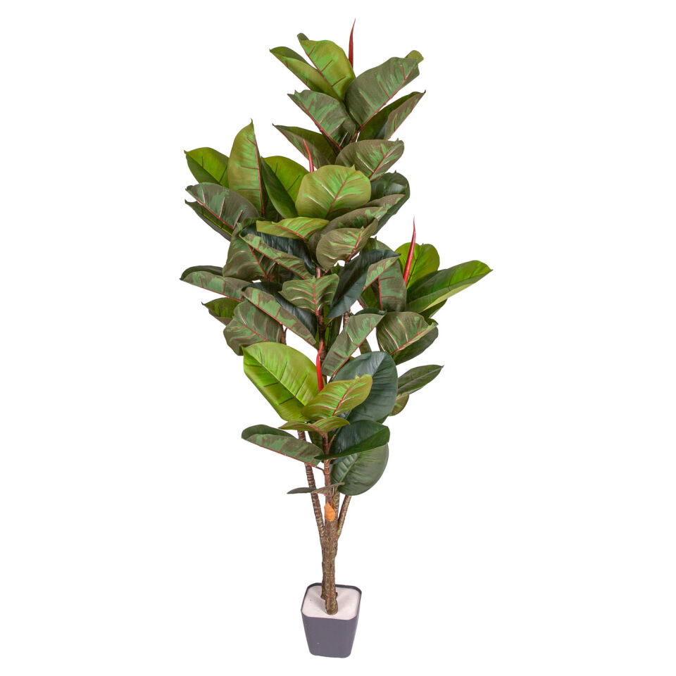 Yapay Kauçuk Ağacı, Gerçek Dokulu, Yeşil - 57 Yaprak, 150 cm