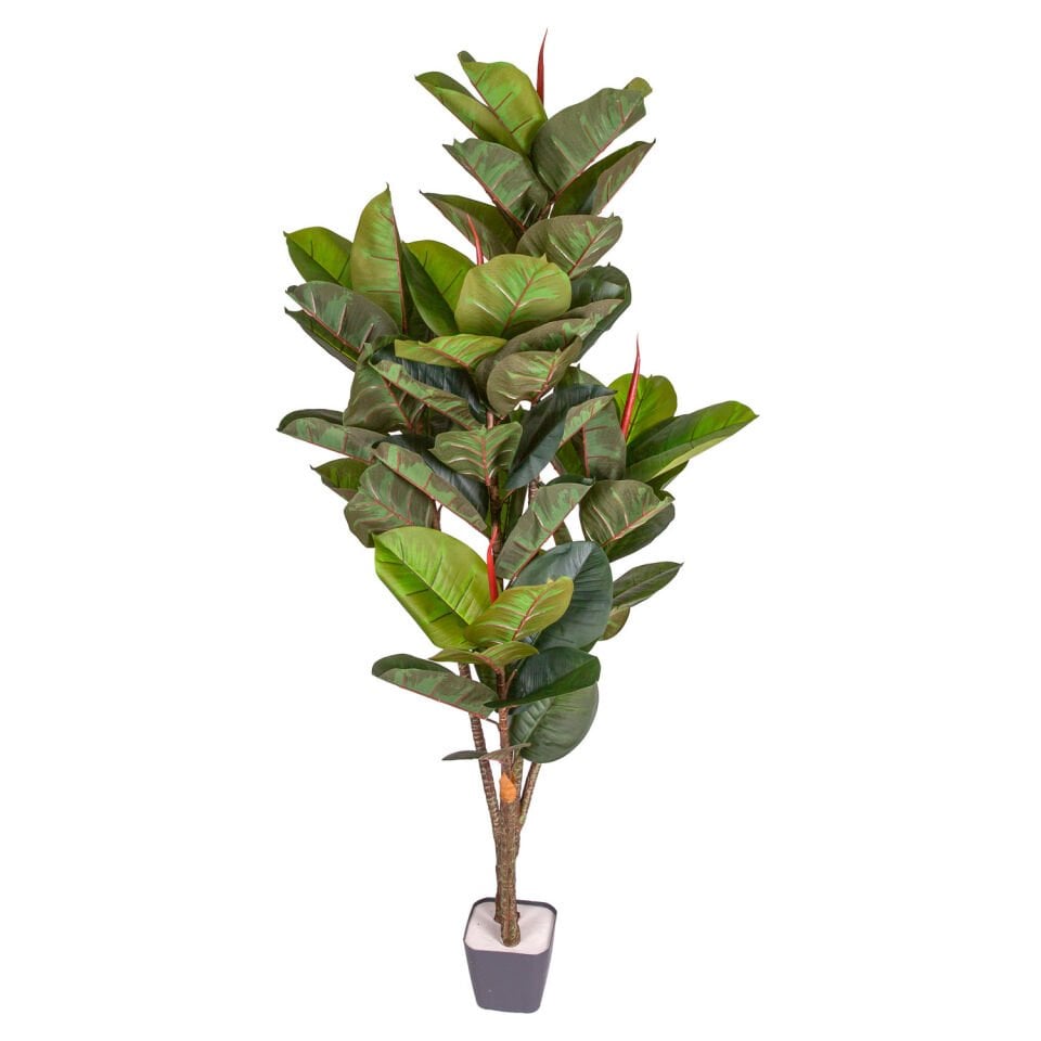 Yapay Kauçuk Ağacı, Gerçek Dokulu, Yeşil - 57 Yaprak, 150 cm