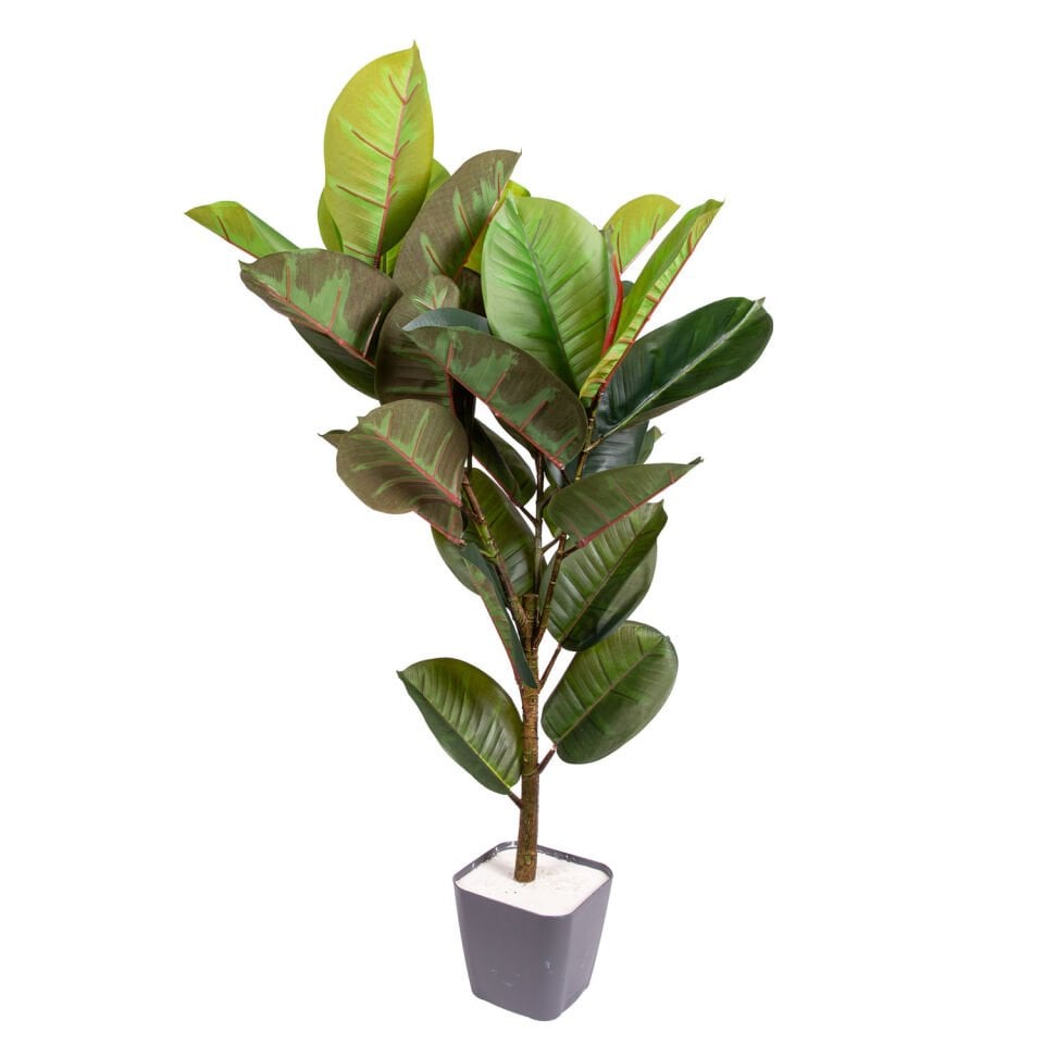 Yapay Kauçuk Ağacı, Gerçek Dokulu, Yeşil - 32 Yaprak, 100 cm