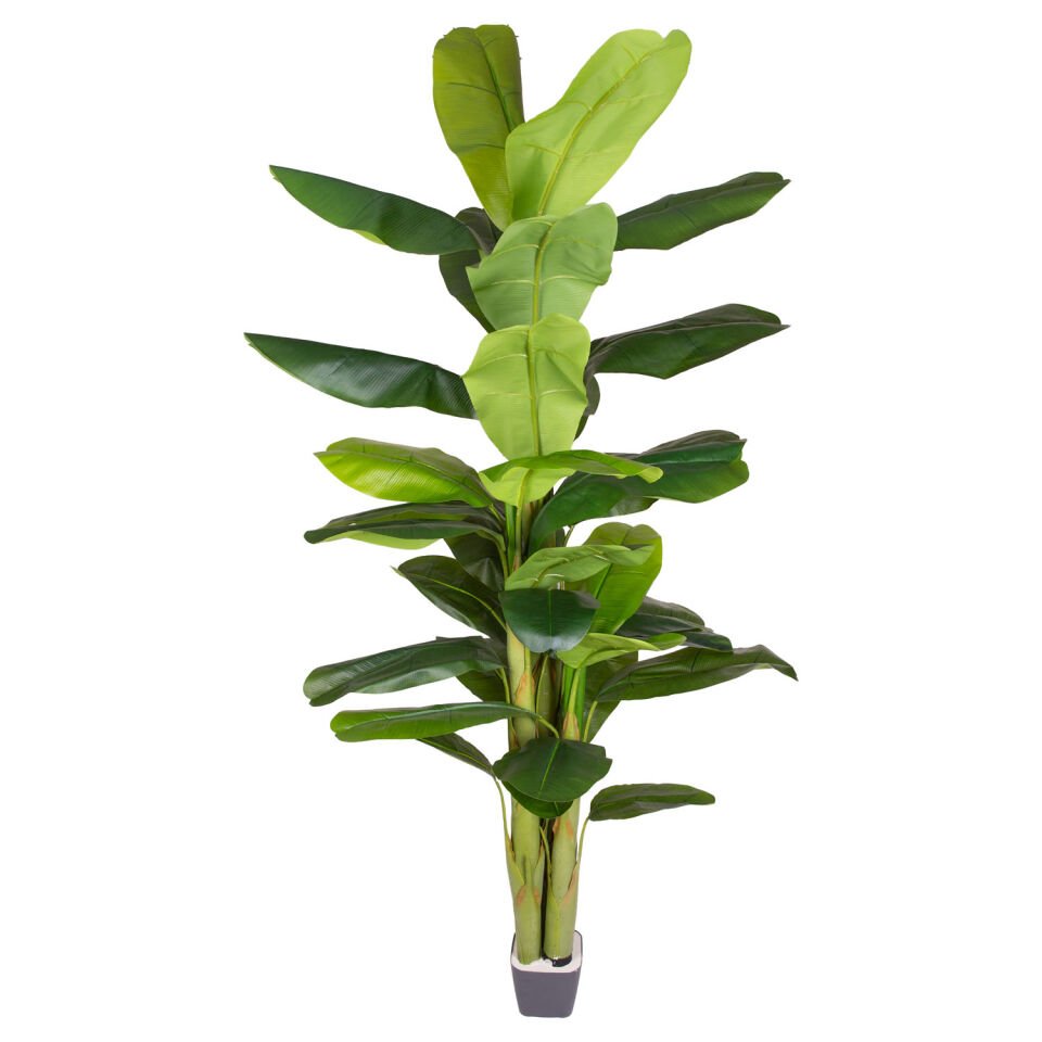 Yapay Muz Ağacı, Gerçek Dokulu, Yeşil - 38 Yaprak, 230 cm