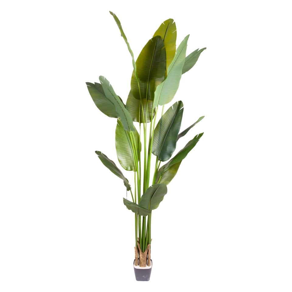 Yapay Starliçe Ağacı, Gerçek Dokunuş, Yeşil - 16 Yaprak, 240 cm