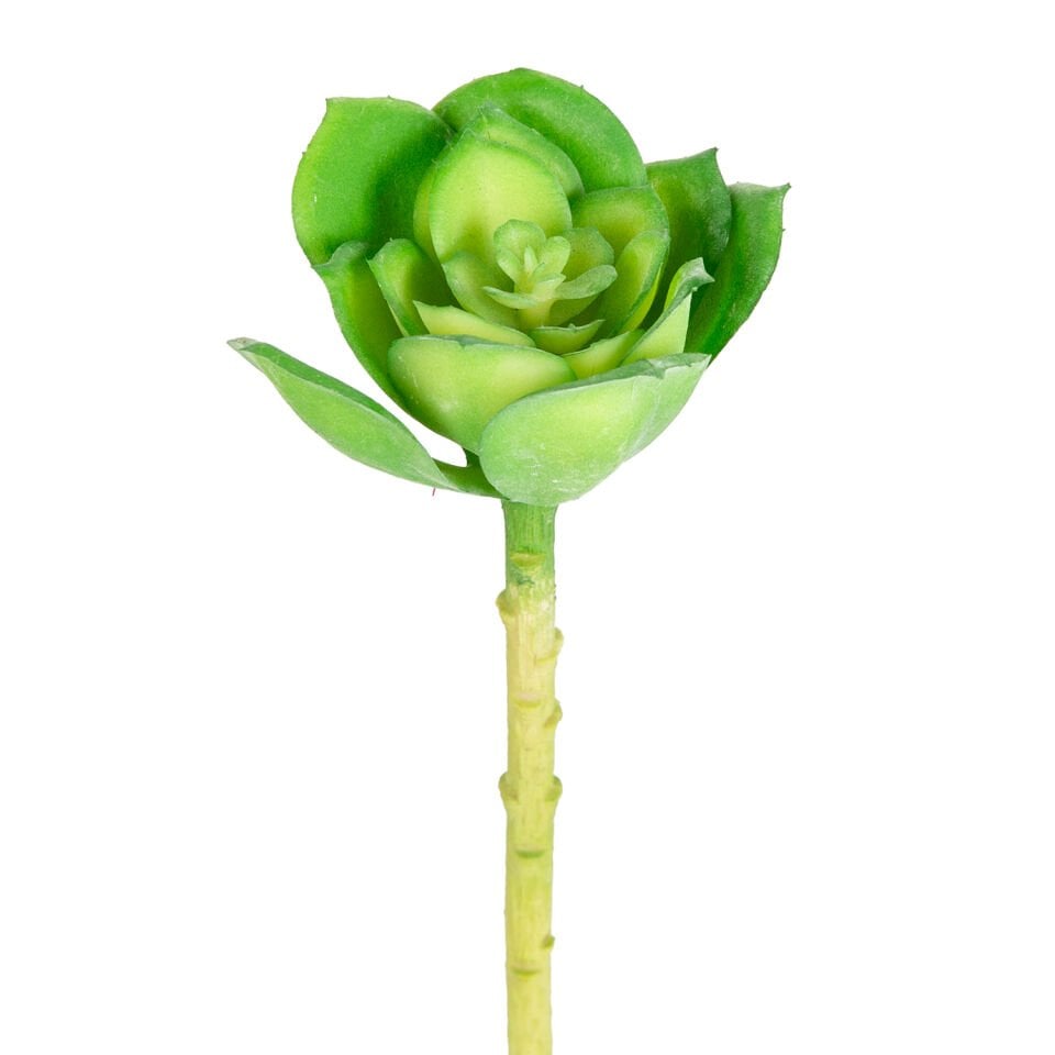 Yapay Çiçek, Kaktüs Sukulent, Yeşil - 14 cm