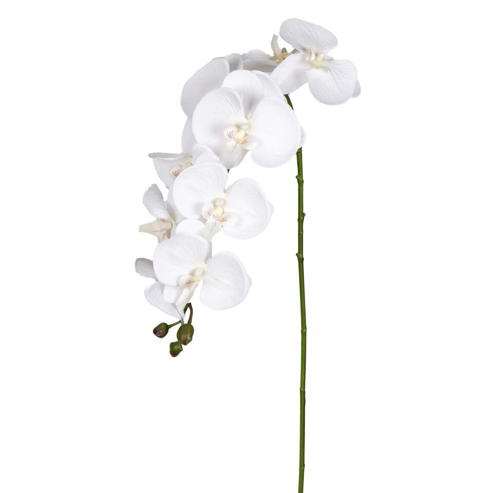 Yapay Çiçek, Orkide, Beyaz - 95 cm