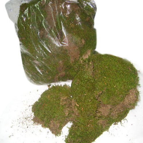 Kuru Bitki, Yosun - 1 Kg Paket ±