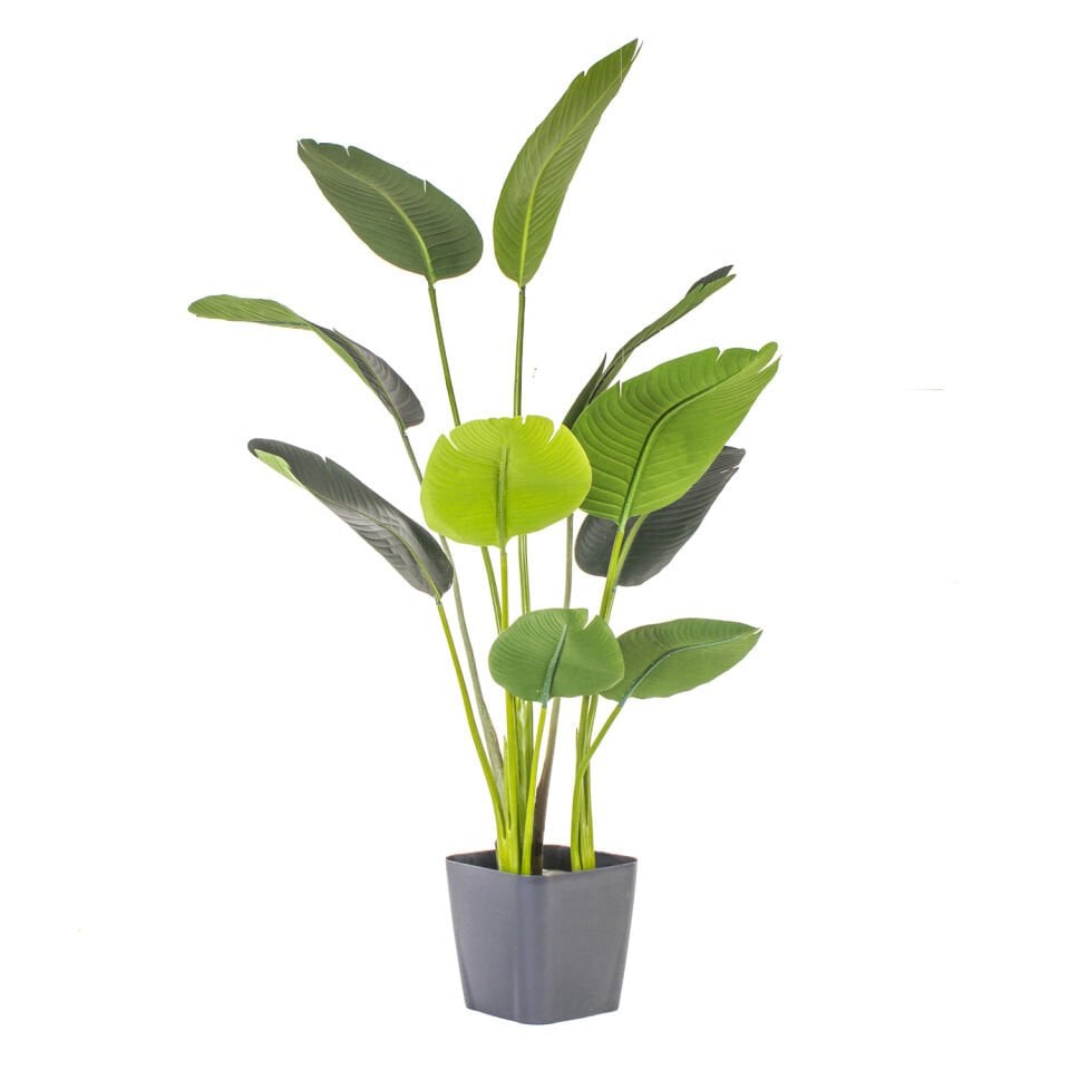 Yapay Ağaç, Strelitzia - Saksıda, 150 cm