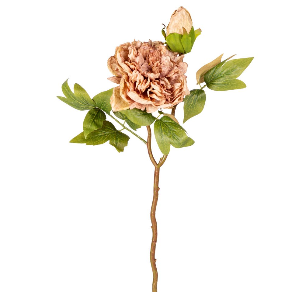 Yapay Çiçek, Şakayık, Açık Kahve - Tomurcuklu, 50 cm