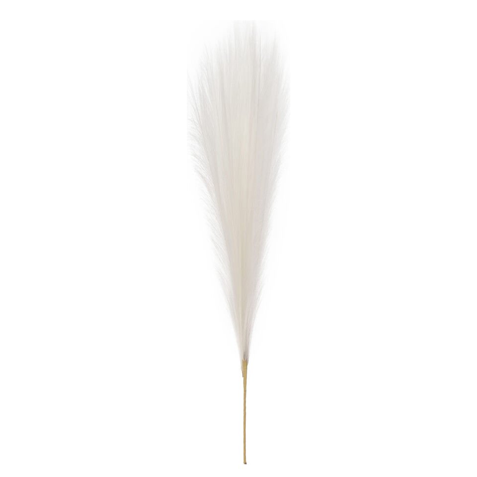 Yapay Bitki Pampas, Beyaz - 108 cm