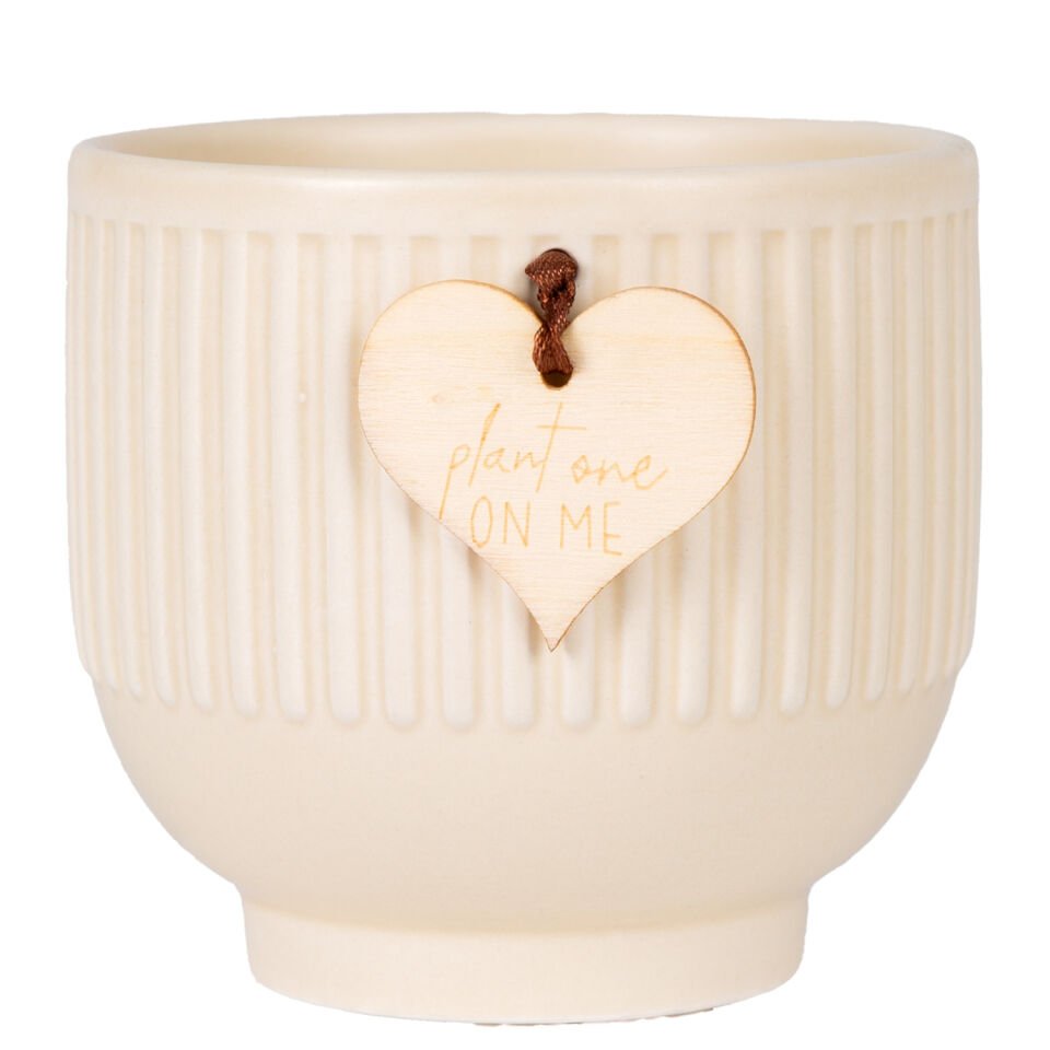 Seramik Saksı, Krem - 10x10.5 cm