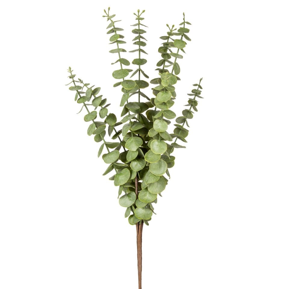 Yapay Okaliptus Demeti, Yeşil - 50 cm