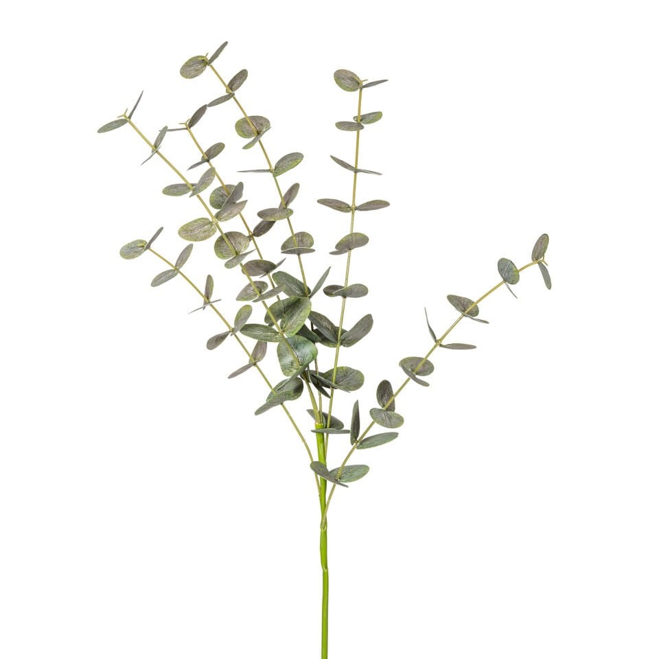 Yapay Okaliptus Dalı, Gerçek Dokulu, Yeşil - 87 cm