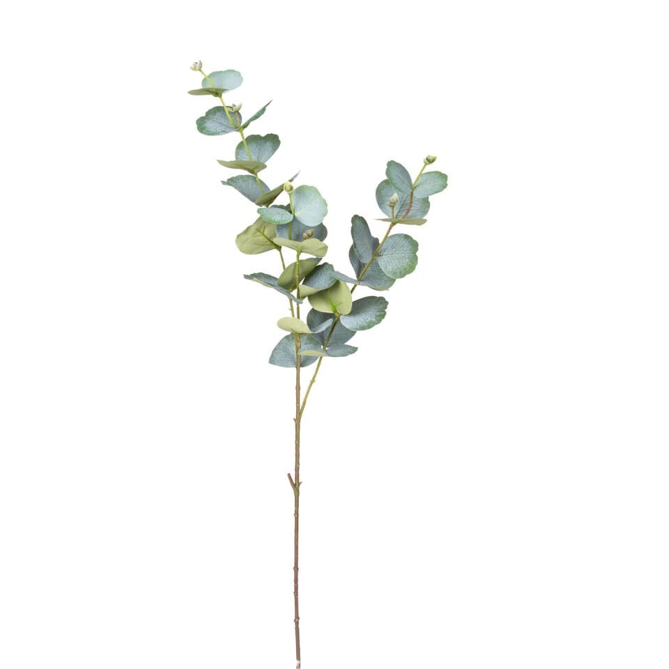 Yapay Okaliptus Dalı, Yeşil - 75 cm
