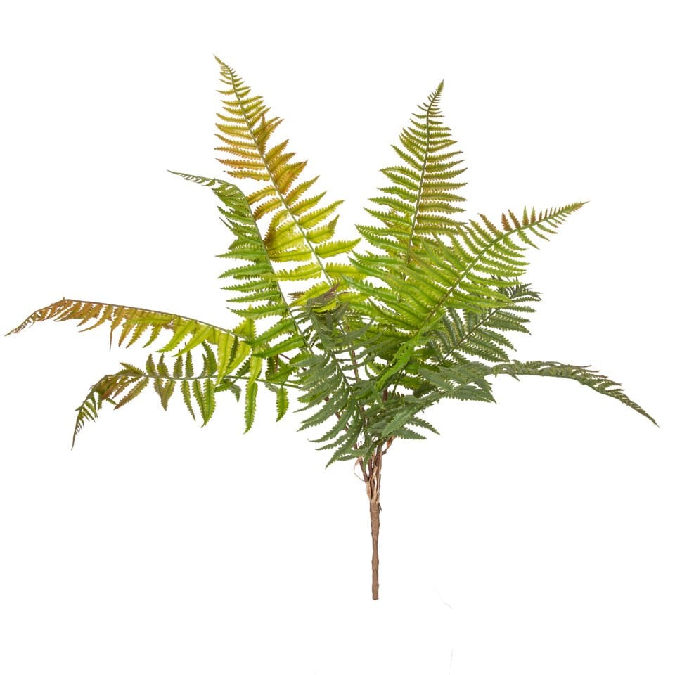 Yapay Bitki, Fujer/Eğrelti Otu, Kızıl/Yeşil - 75 cm