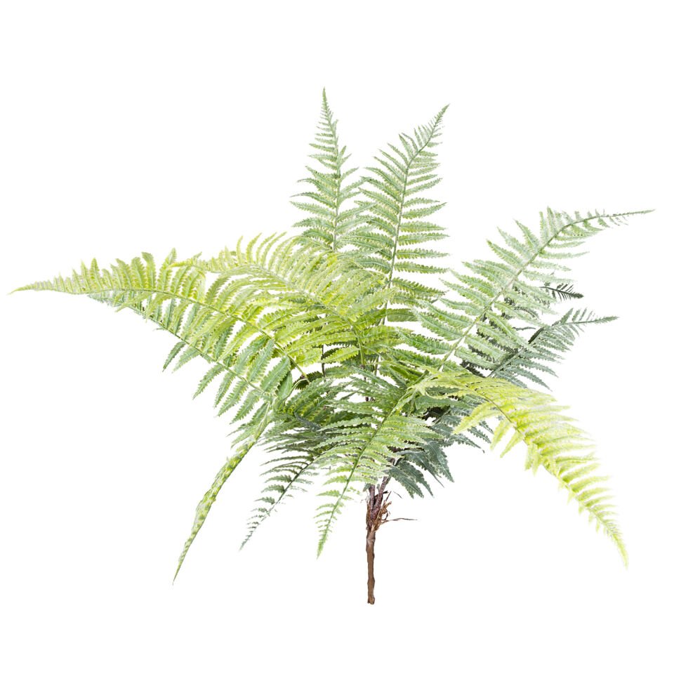 Yapay Bitki, Fujer/Eğrelti Otu, Yeşil - 75 cm