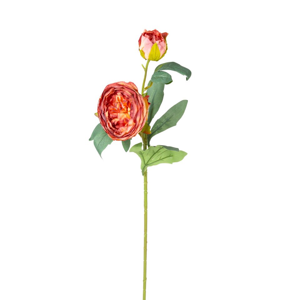 Yapay Şakayık, Kırmızı - Tomurcuklu, 10x66 cm