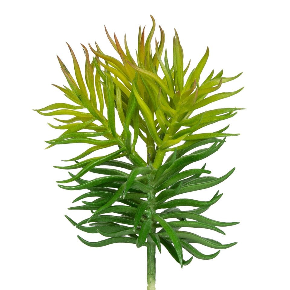 Yapay Çiçek, Kaktüs Sukulent, Yeşil - 15 cm