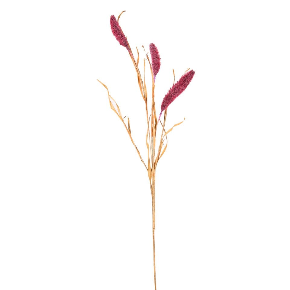 Yapay Bitki, Setaria Pamuk (Kirpi Darı), Kızıl - 90 cm