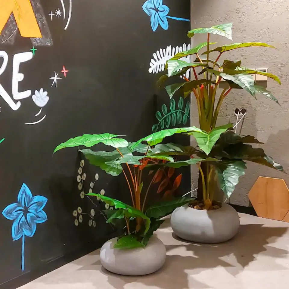 Çalışanlarınıza Doğayı Hediye Edin: Ruhsuz Alanlardan İlham Veren Dinlenme Köşelerine