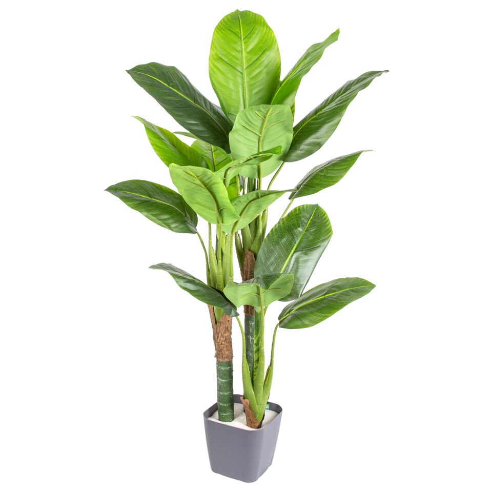 Yapay Ağaç, Difenbahya, Gerçek Dokulu - 21 Yaprak, 120 cm