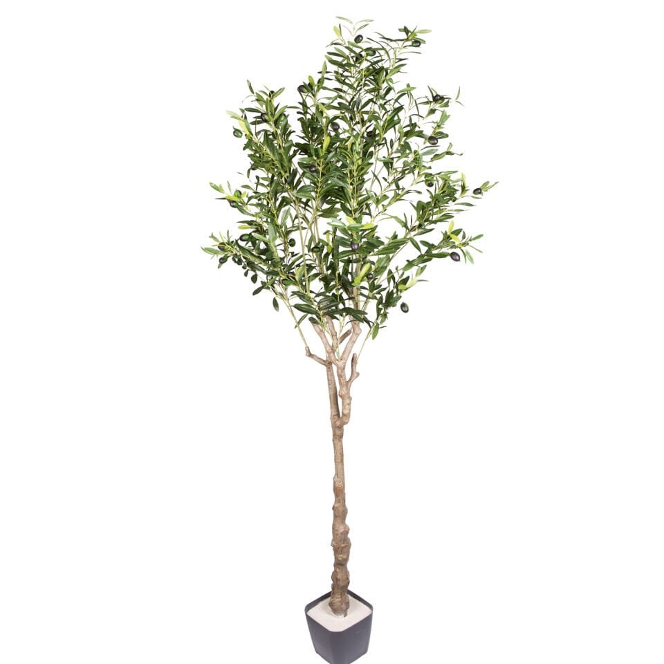 Yapay Zeytin Ağacı, Yeşil - 1122 Yaprak, 180 cm