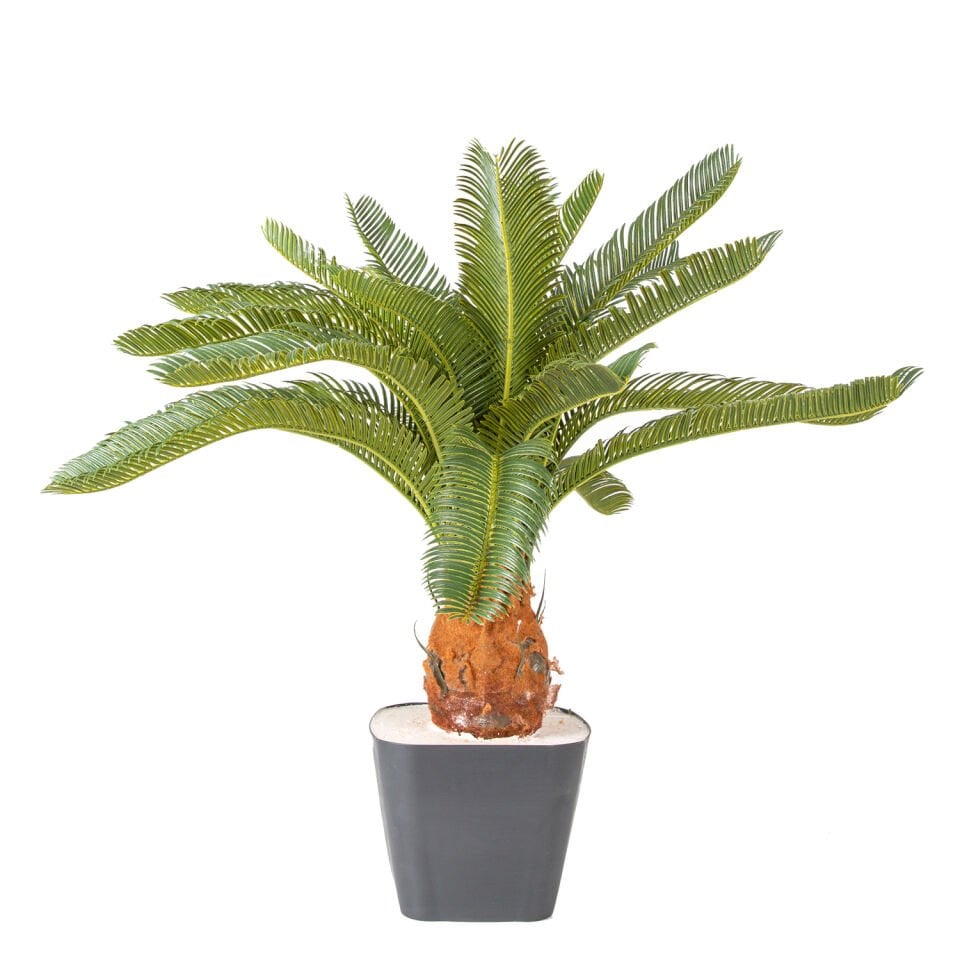 Yapay Çikas - Cycas Ağacı, Yeşil - 25 Yapraklı, 72 cm