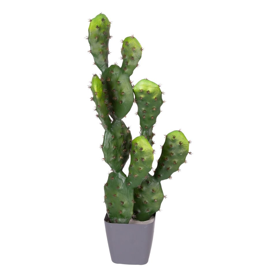 Yapay Kaktüs, Saksılı - 2 Gövde, 72 cm
