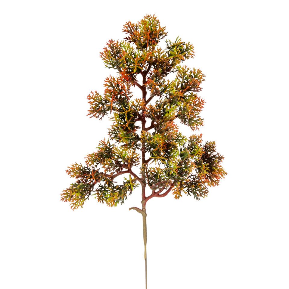 Yapay Çam Dalı, Kızıl