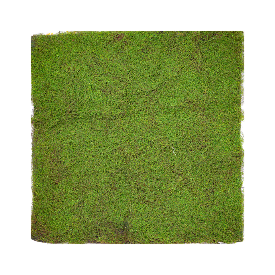 Yapay Yosun Duvar Dekoru, Tabaka, Açık Yeşil - 100x100 cm