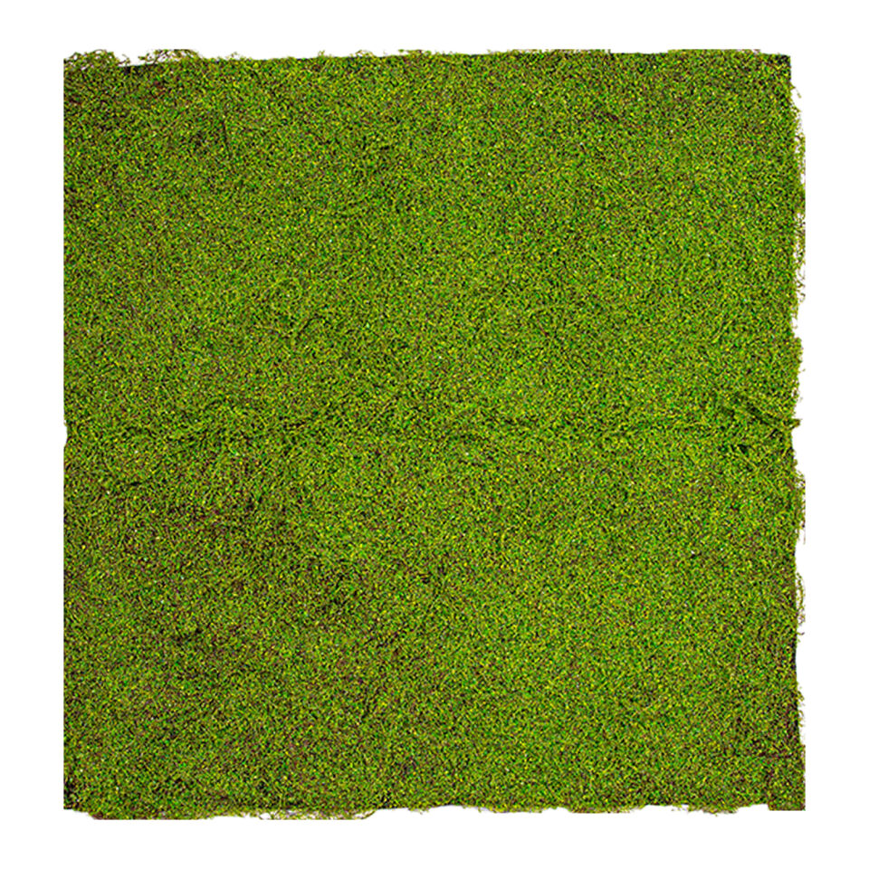 Yapay Yosun Duvar Dekoru, Tabaka, Açık Yeşil - 100x100 cm