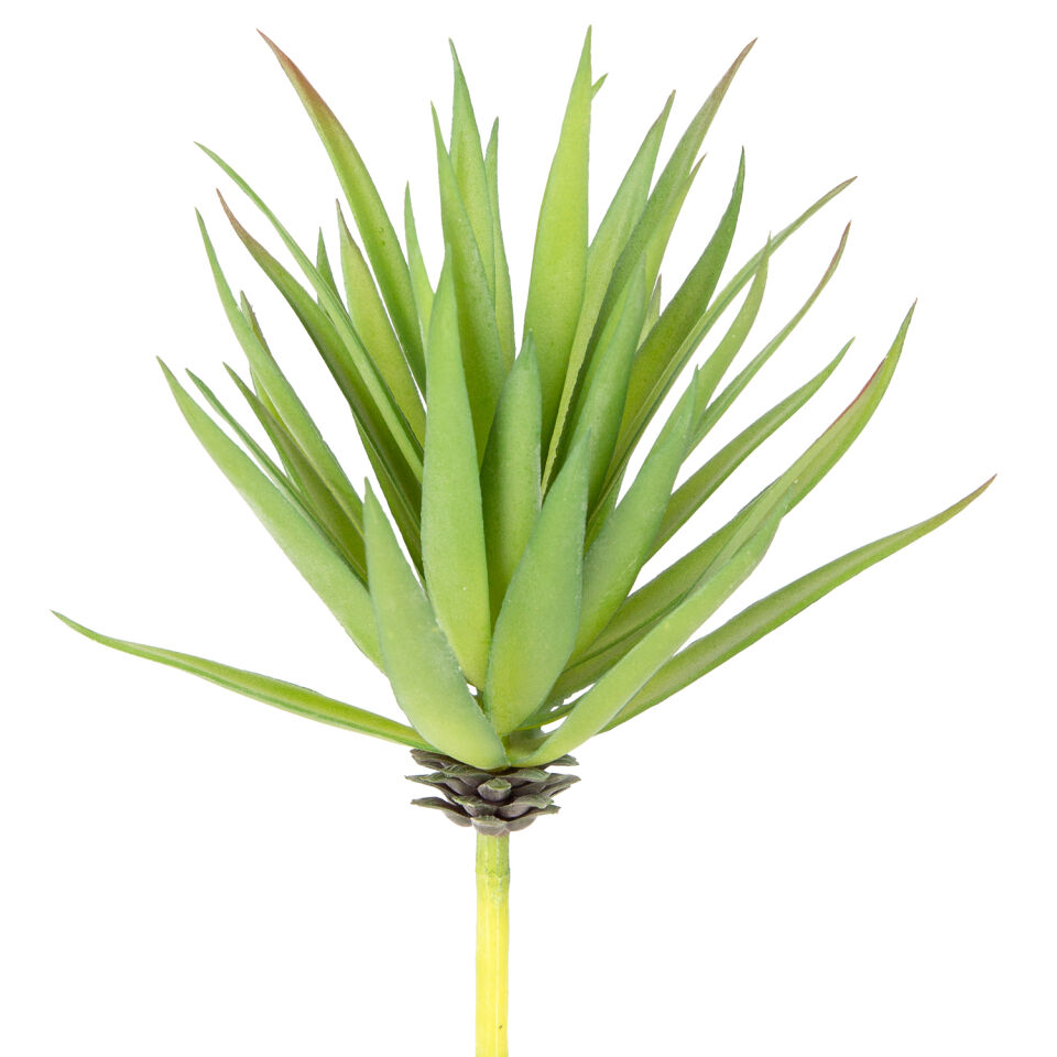 Yapay Kaktüs Sukulent, Yeşil - 20 cm