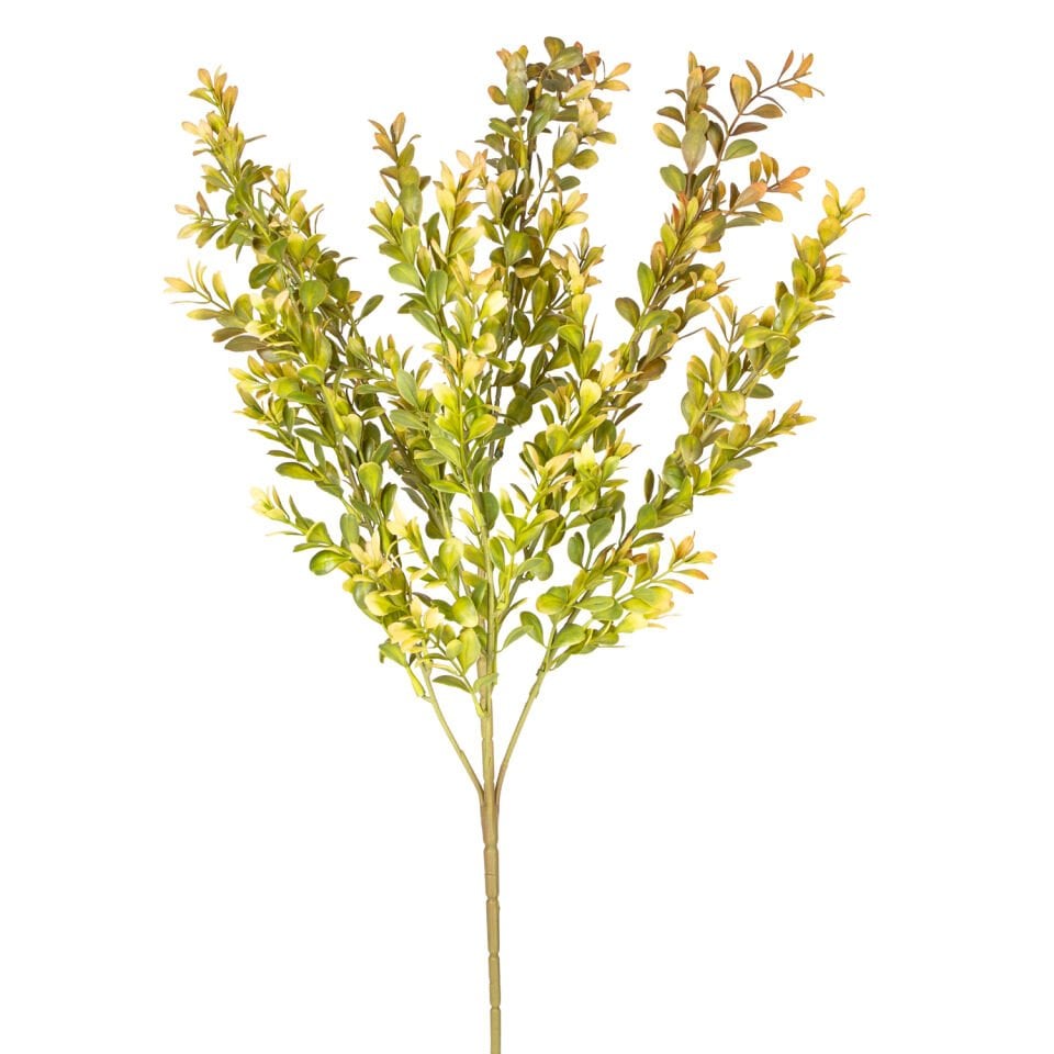 Yapay Bitki, Şimşir, Kahve/Yeşil - 55 cm