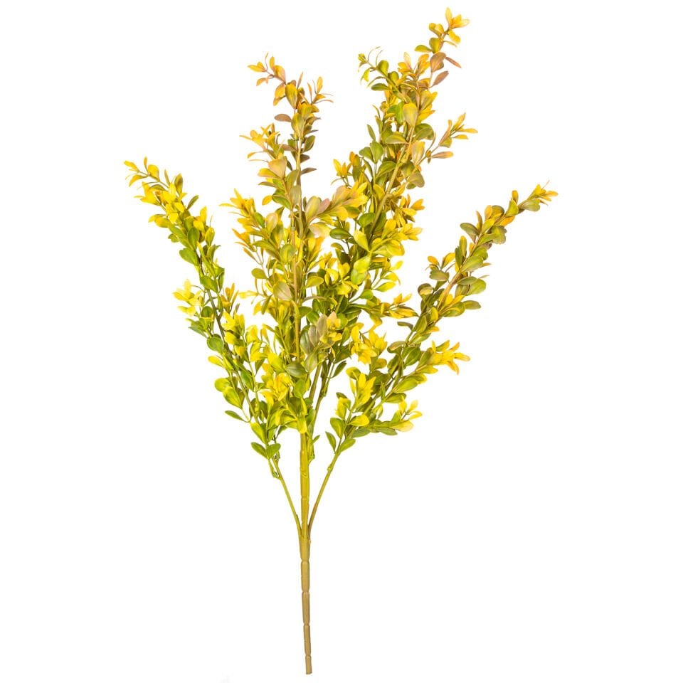 Yapay Bitki, Şimşir, Turuncu/Yeşil - 55 cm