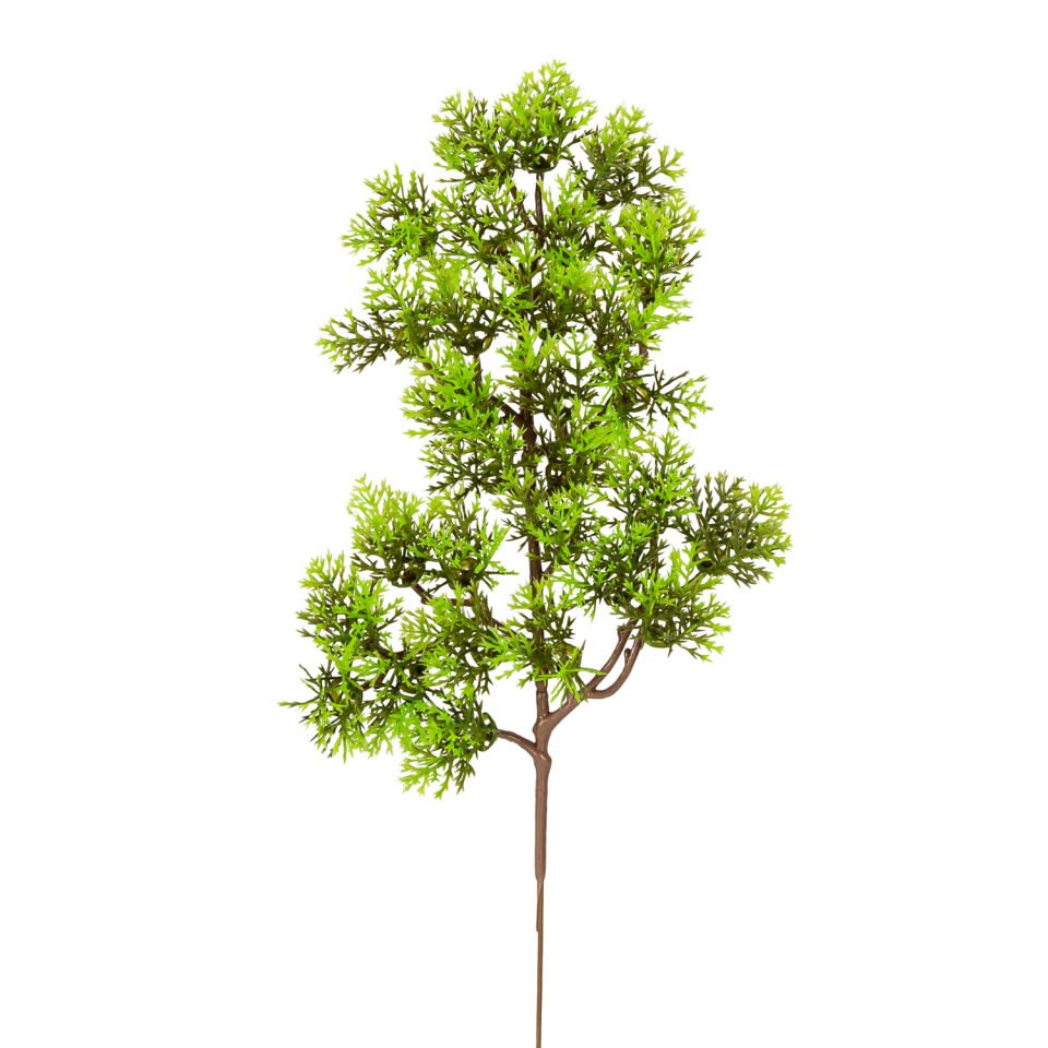 Yapay Çam Dalı, Mazı, Yeşil