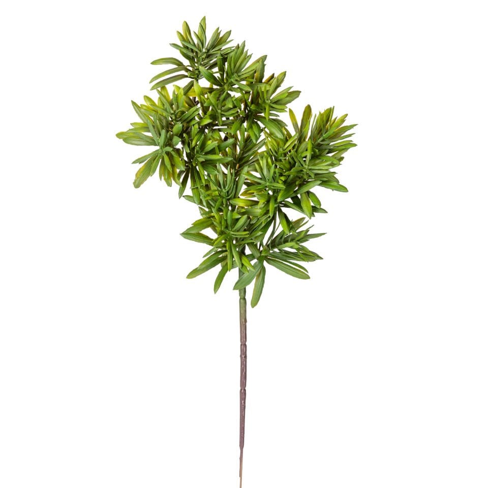 Yapay Çam Dalı, Podocarpus, Yeşil - 45 cm