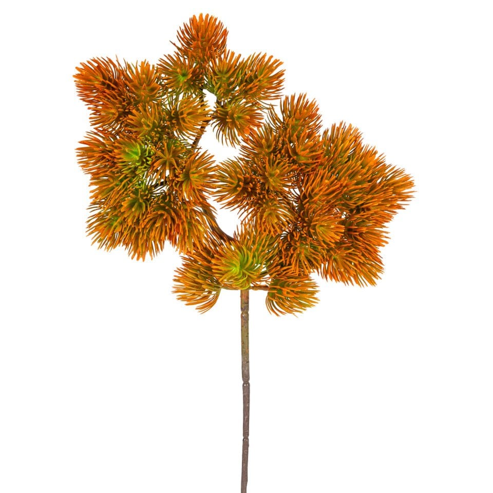 Yapay Dikenli Çam Dalı, Kızıl