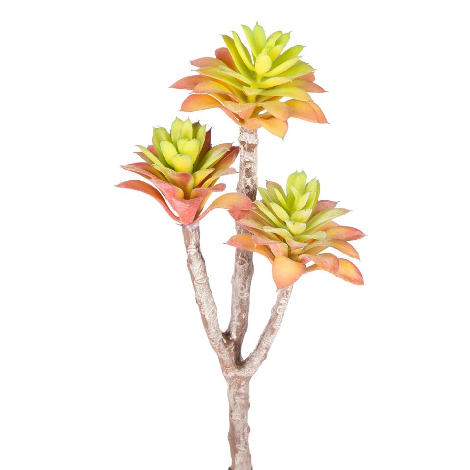 Yapay Kaktüs Sukulent, Kırmızı/Yeşil - 35 cm