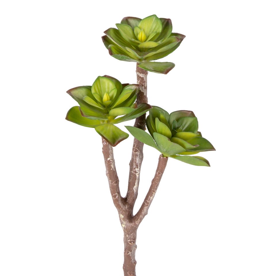 Yapay Kaktüs Sukulent, Kırmızı-Yeşil - 35 cm