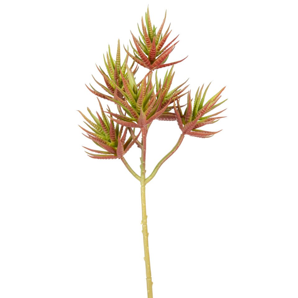 Yapay Kaktüs Sukulent, Kırmızı/Yeşil - 34 cm