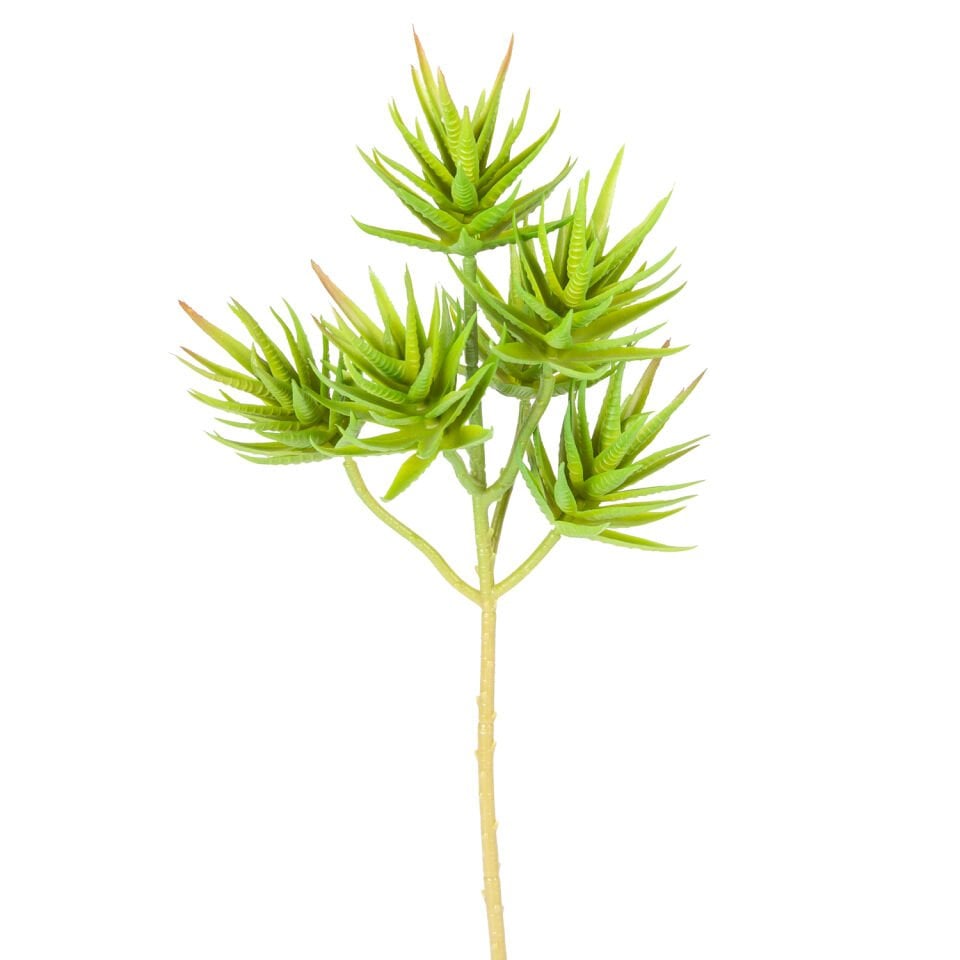 Yapay Kaktüs Sukulent, Yeşil - 34 cm