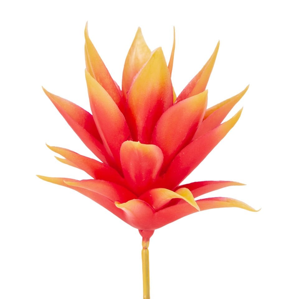 Yapay Kaktüs Sukulent, Turuncu - 14 cm