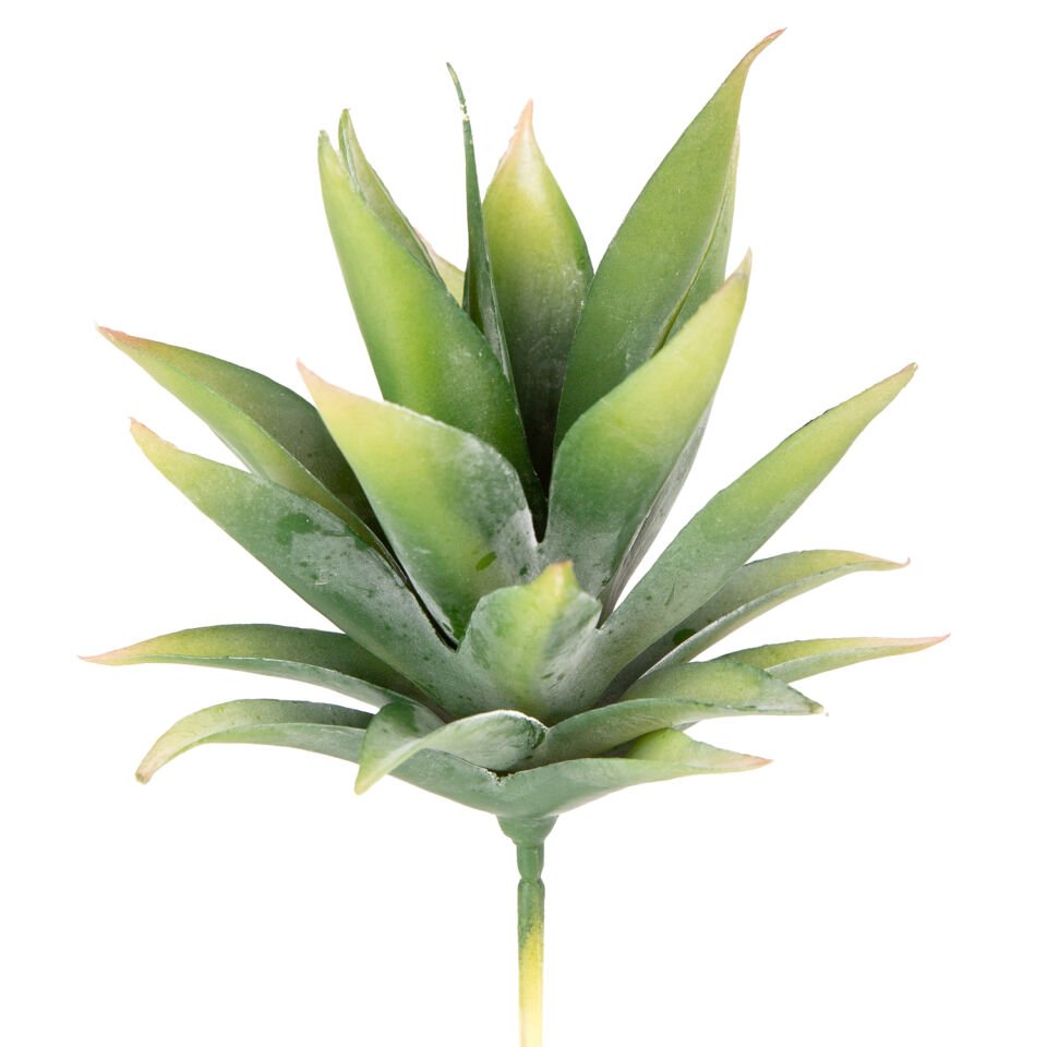 Yapay Kaktüs Sukulent, Yeşil - 14 cm