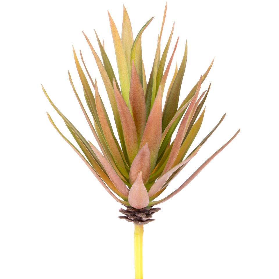 Yapay Kaktüs Sukulent, Kırmızı/Yeşil - 20 cm