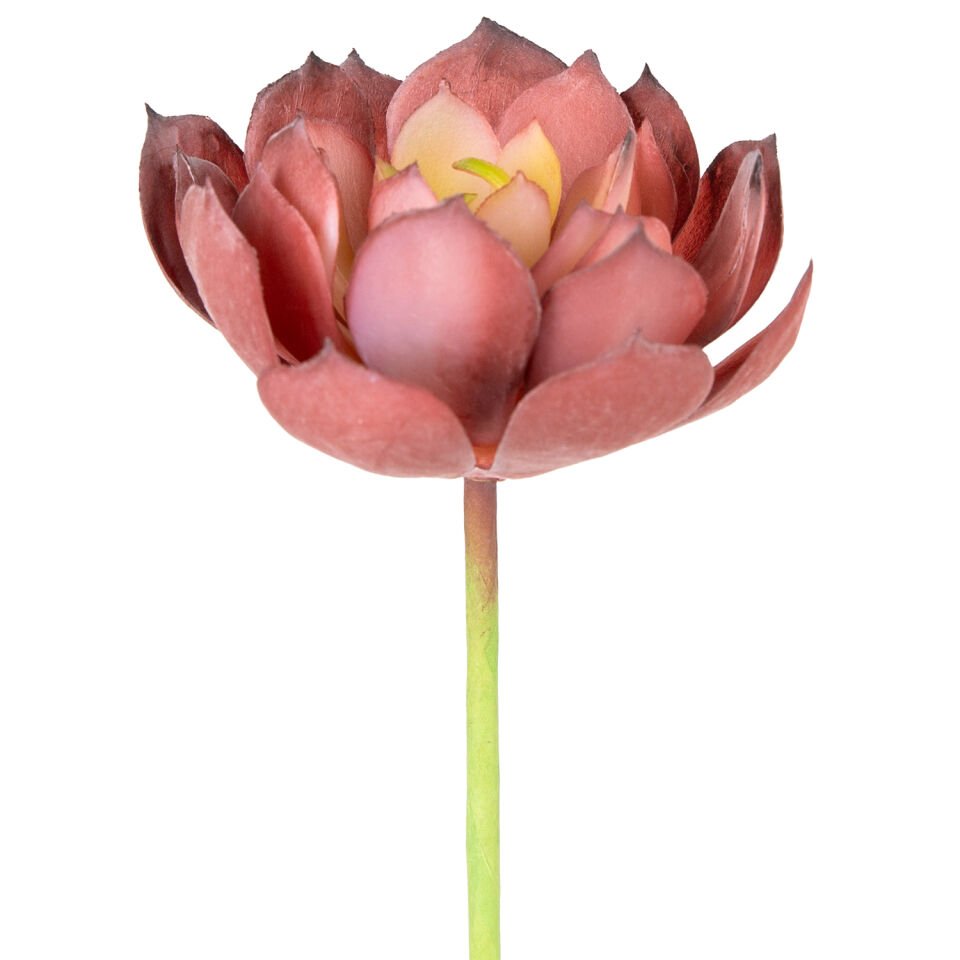 Yapay Kaktüs Sukulent, Kırmızı - 14 cm