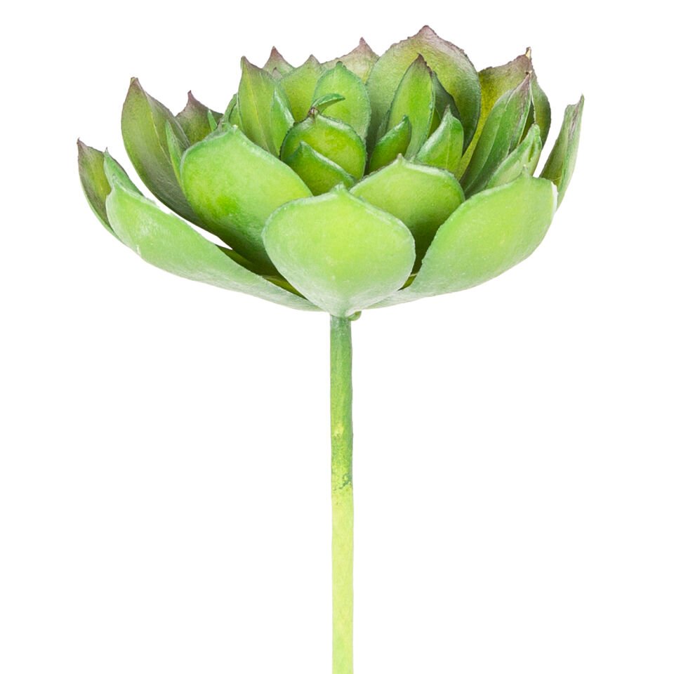 Yapay Kaktüs Sukulent, Yeşil - 14 cm