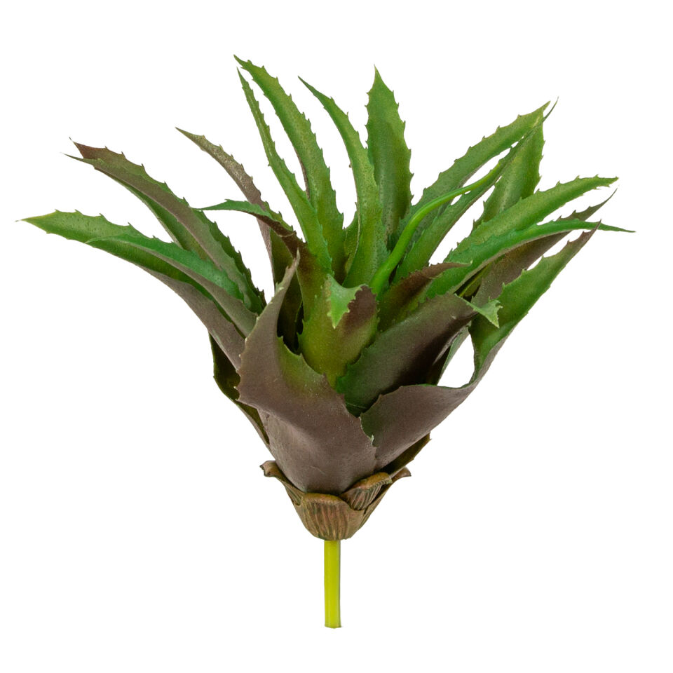Yapay Kaktüs Sukulent, Yeşil - 28 cm