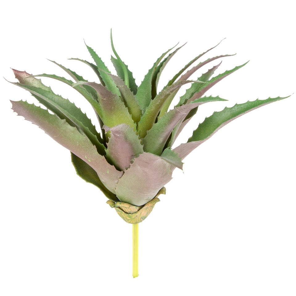 Yapay Kaktüs Sukulent, Yeşil - 28 cm