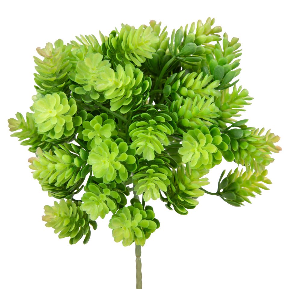 Yapay Kaktüs Sukulent, Kızıl Yeşil - 20 cm