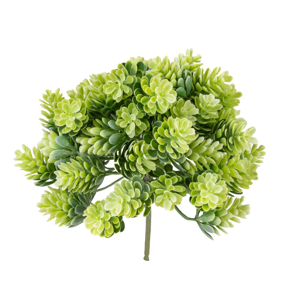 Yapay Kaktüs Sukulent, Pastel Yeşil - 20 cm