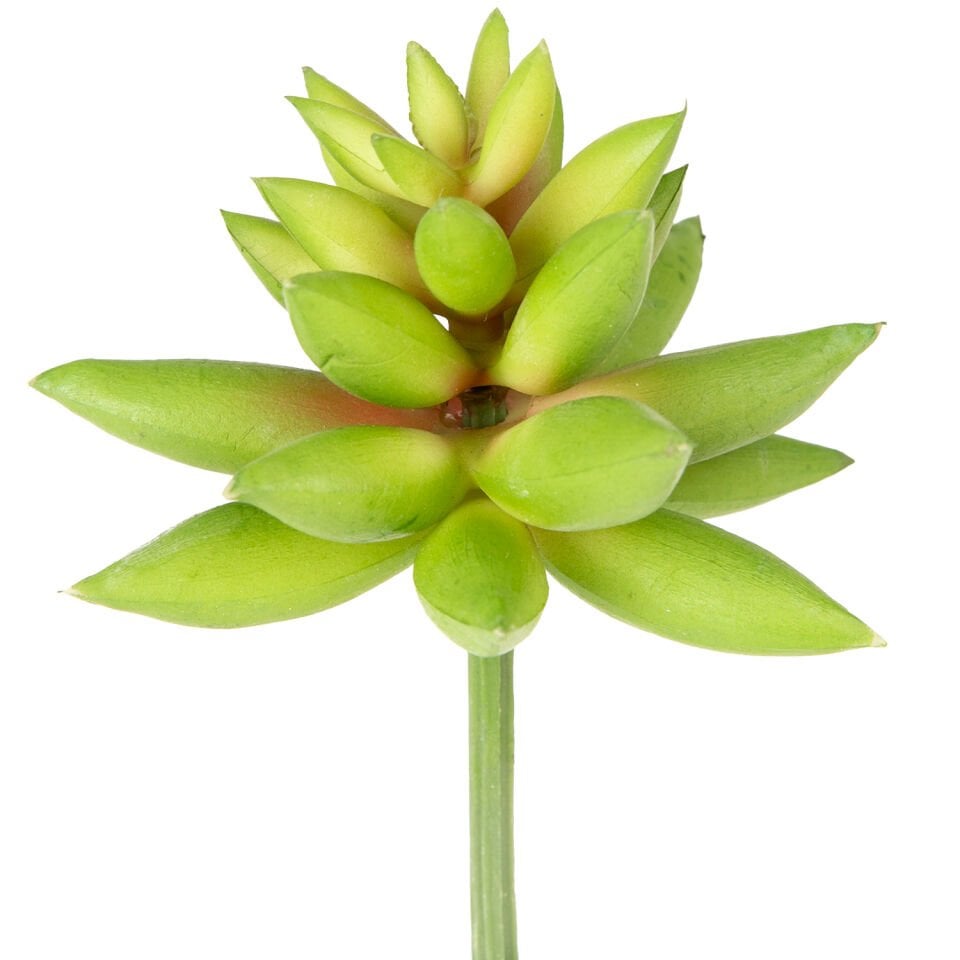 Yapay Kaktüs Sukulent, Yeşil - 11 cm