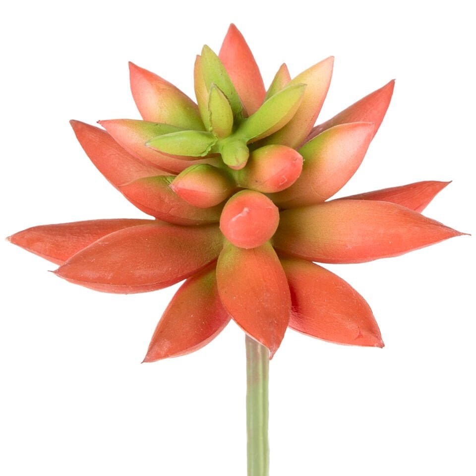Yapay Kaktüs Sukulent, Kırmızı - 11 cm