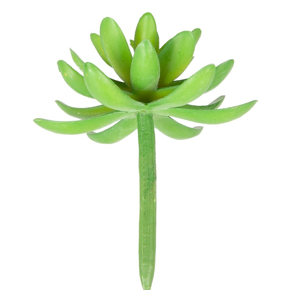 Yapay Kaktüs Sukulent, Yeşil - 11 cm